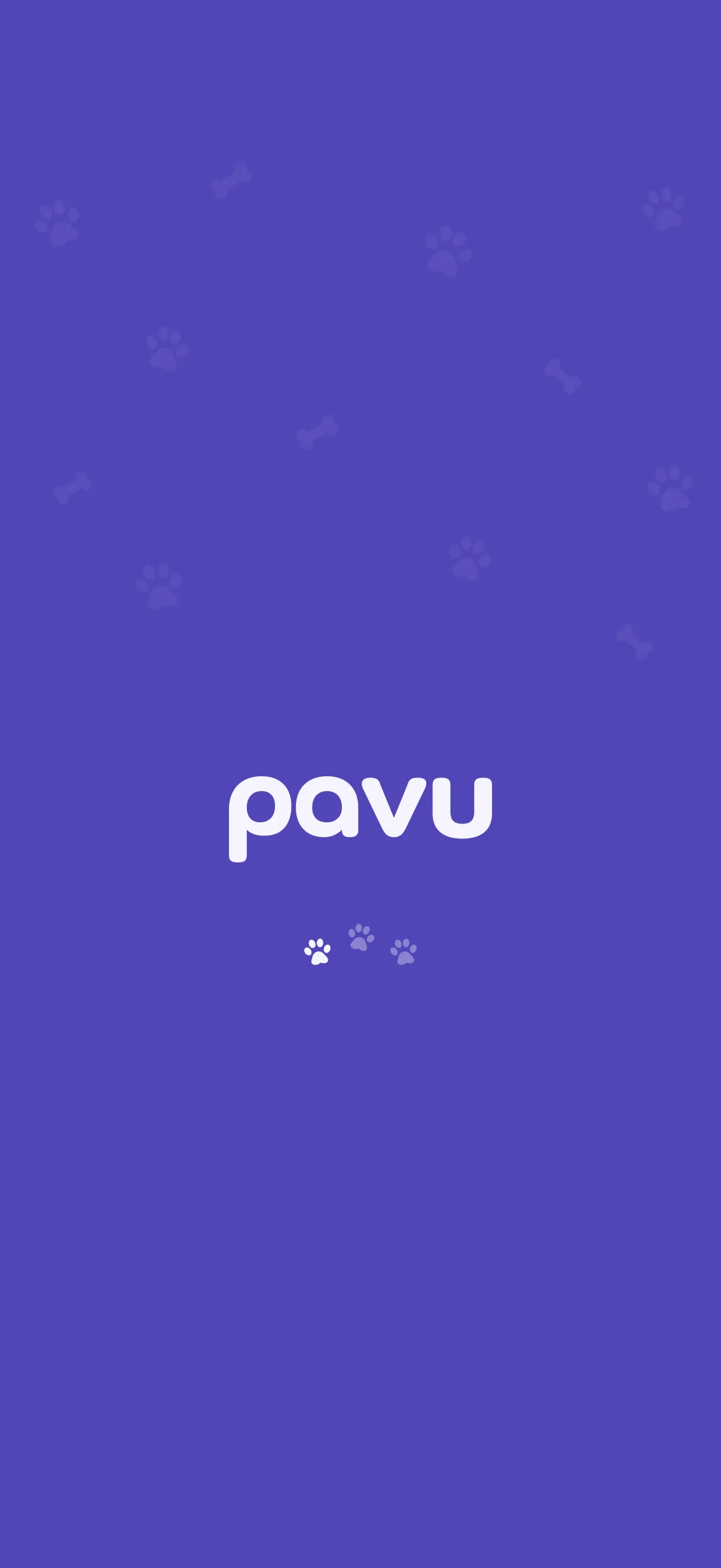 Pavu splash screen